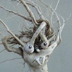 driftwood-funny-face
